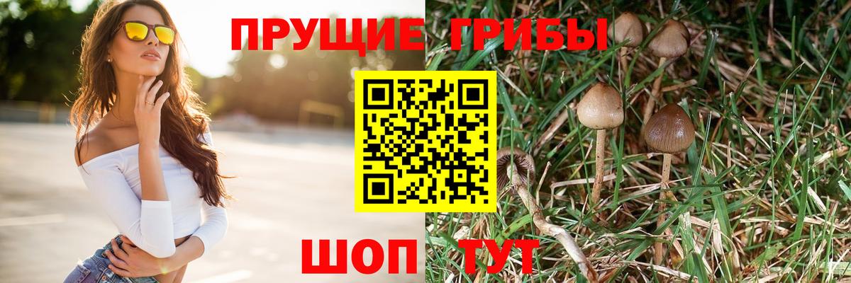 Псилоцибиновые грибы Psilocybe  Вход с VPN  хочу наркоту  Лениногорск 